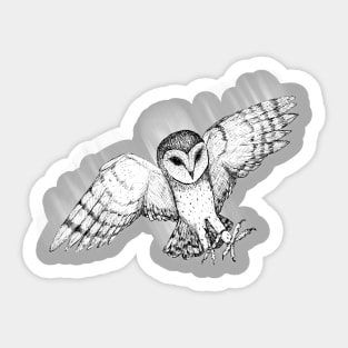 Attacking barn owl Sticker